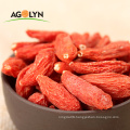 Sweet Delicious Natural Organic Dried Goji Berry Boxthorn